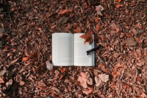 Rekomendasi Novel Horor Indonesia dan Terjemahan