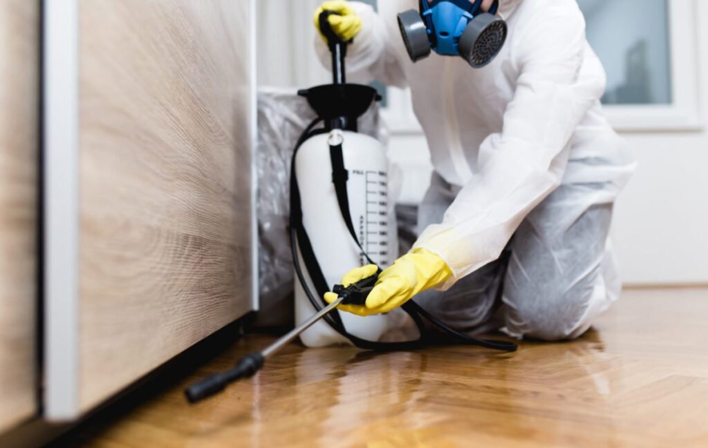 Perlindungan Anti Rayap untuk Properti di Jakarta