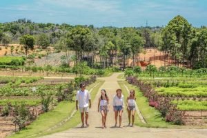 21 Destinasi Wisata di Dunia yang Tetapkan Tarif Pajak Turis 2024
