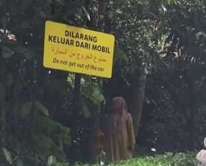 Taman Safari Sanksi Pengunjung Keluar Mobil