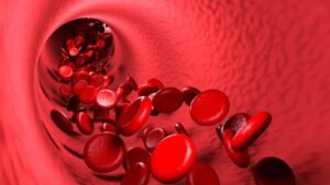 Rahasia Melancarkan Sirkulasi Darah Secara Alami dan Aman