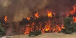 Api Landa Israel, Bantuan Udara Segera Tiba