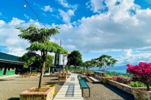 Cara Praktis Menuju Bukit AsLan Lampung