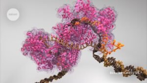 CRISPR 2.0: Evolusi Teknologi Penyuntingan Gen yang Membuka Cakrawala Baru