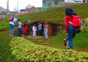Demam Backpacking: Mengapa Semakin Banyak Orang Memilih Petualangan dengan Ransel di Punggung?