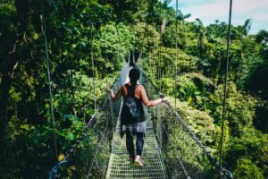 Ekowisata: Menjelajahi Keindahan Alam dengan Tanggung Jawab