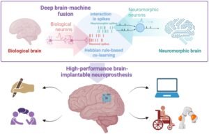 Neuromorphic Computing: Menjelajahi Masa Depan Komputasi yang Terinspirasi Otak