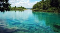 Papua: Permata Tersembunyi Indonesia yang Menanti untuk Ditemukan