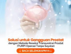Kesehatan Prostat: Memahami, Merawat, dan Mencegah Masalahnya