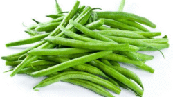 Khasiat Nutrisi Buncis untuk Kesehatan Tubuh