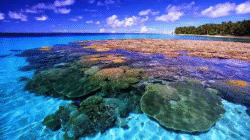 Pesona Laut Bunaken Kembali Gaet Wisatawan Dunia